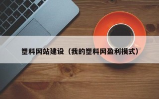 贵州塑料网站建设（我的塑料网盈利模式）
